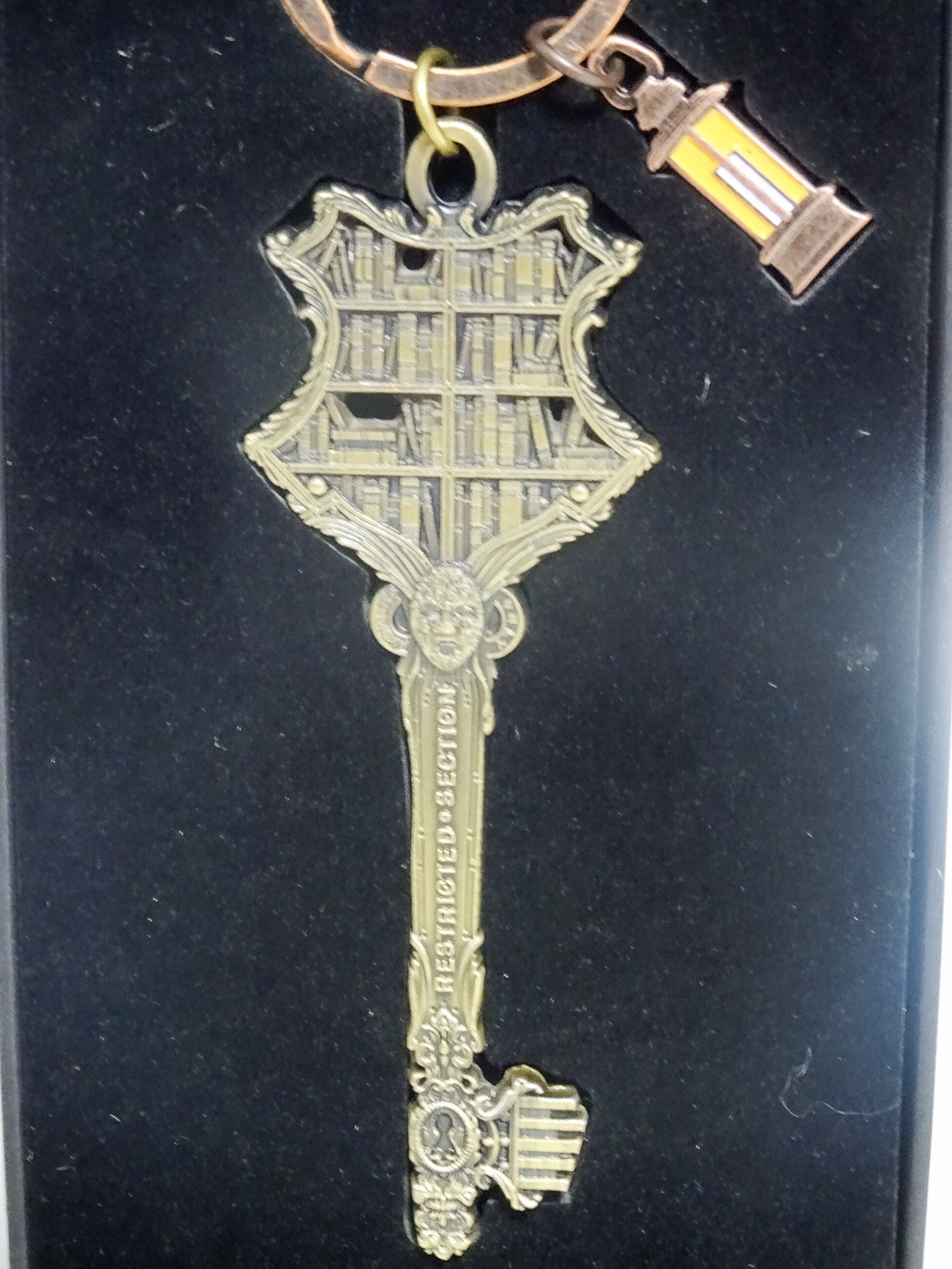 Hogwarts Library Restricted Section Key - JALien Curiosities & Collectables