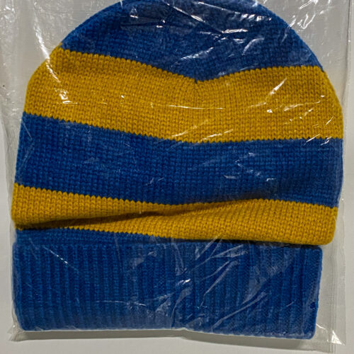 Ravenclaw Beanie