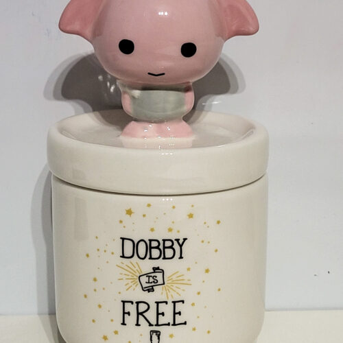 HP Dobby Collectors Box