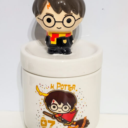 Harry Potter Collectors Box