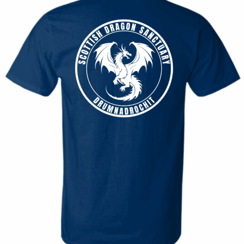 Magical Creatures Back