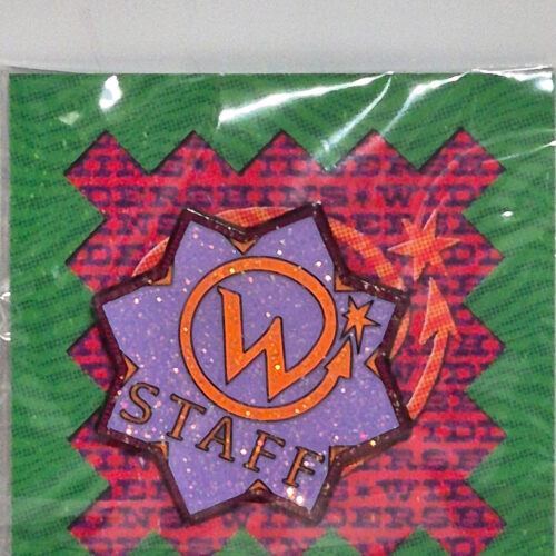 HP Widdershins Staff Pin