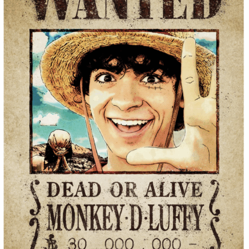 One Piece Wall Banner