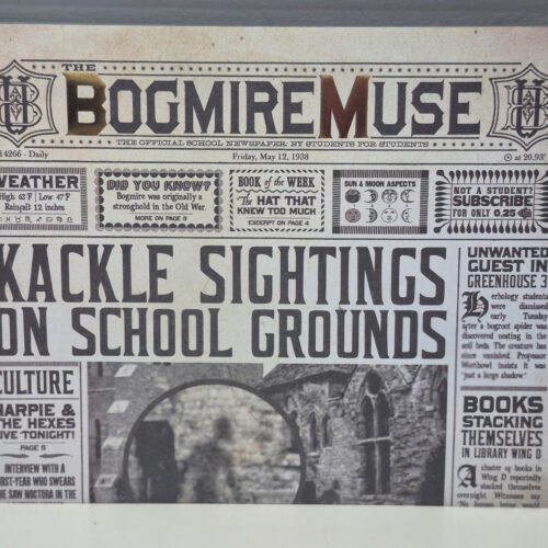HP Bogmire Muse Newspaper