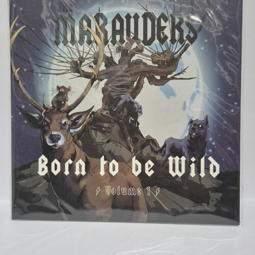 HP Marauders Vinyl Record