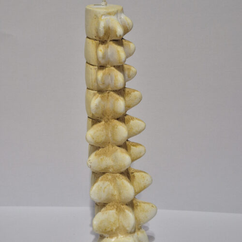 HP Spinal Column Candle