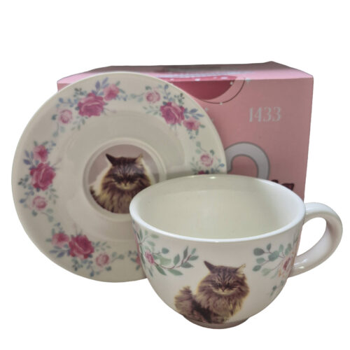 HP Umbridge Cup and Saucer