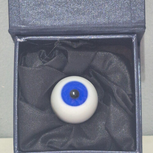 HP Mad Eye Moody Eye